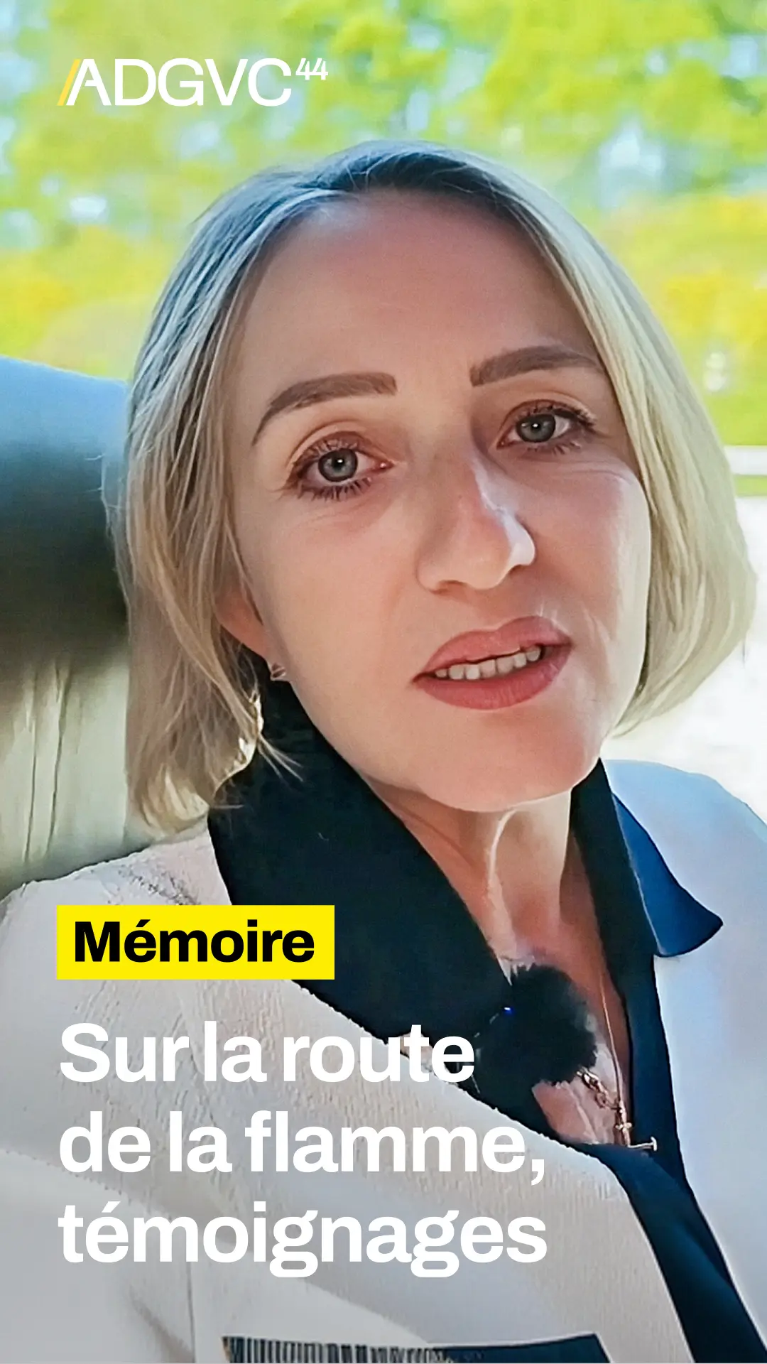 vignette-video